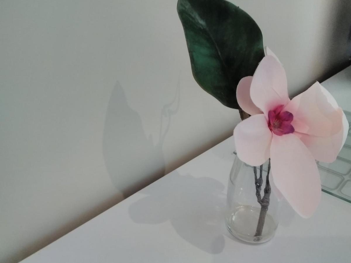 Windermere Studio Rooms - With Free Car Parking Onsite Exteriér fotografie